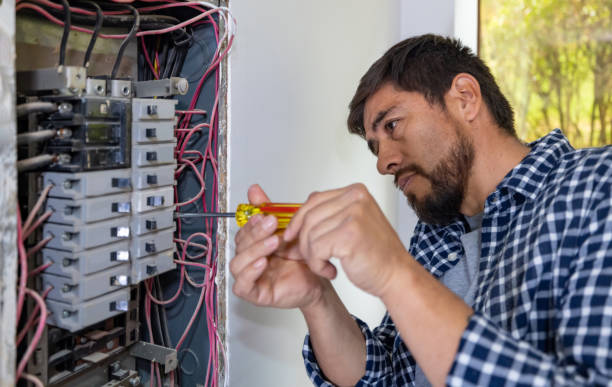 Best Electrical Upgrades for Homes  in Atwood, IL